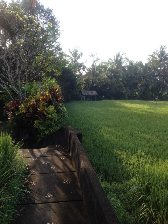 Bali Firefly Bnb Ubud Exterior foto