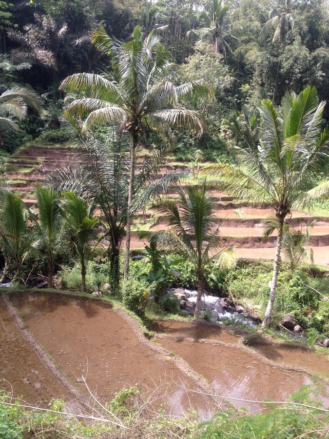Bali Firefly Bnb Ubud Exterior foto